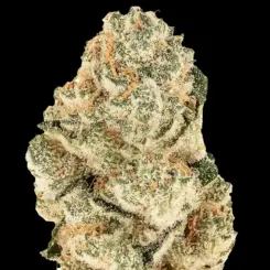 Gorilla Melon Cannabis Seeds by Fastbuds