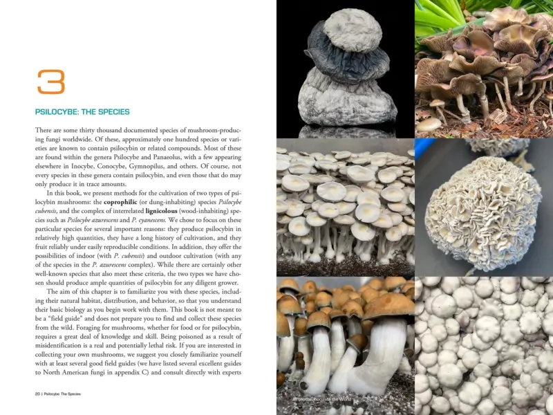 Psilocybin Handbook