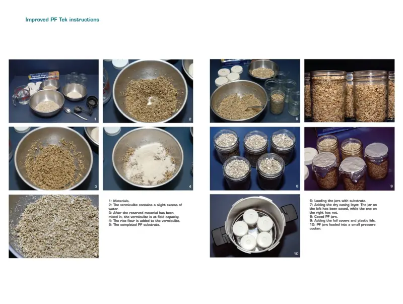Psilocybin Handbook