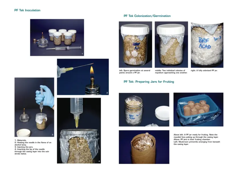 Psilocybin Handbook