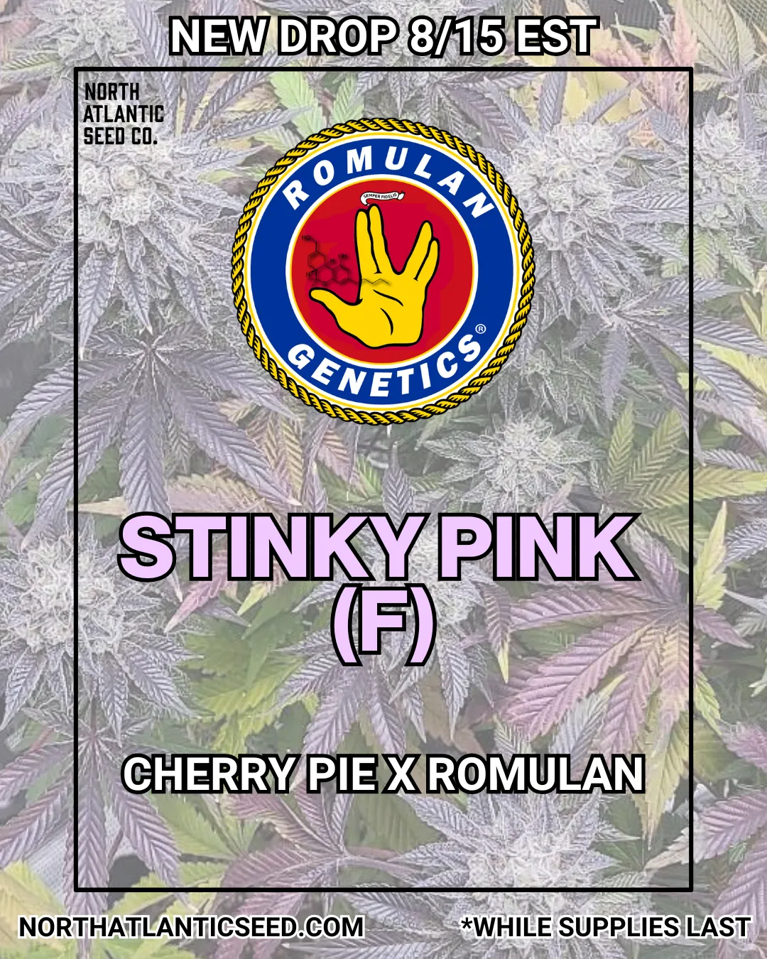 Romulan Stinky Pink Drop