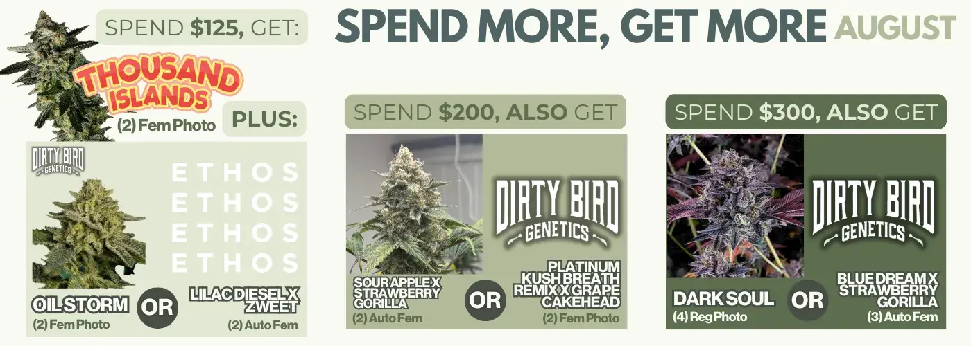 SMGM + Highland Time Sitewide Promo