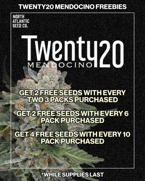 Twenty20 Mendocino's promotional image