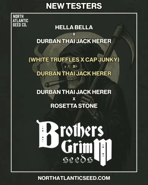 Brother's Grimm New Strains Summer 2025's promotional image