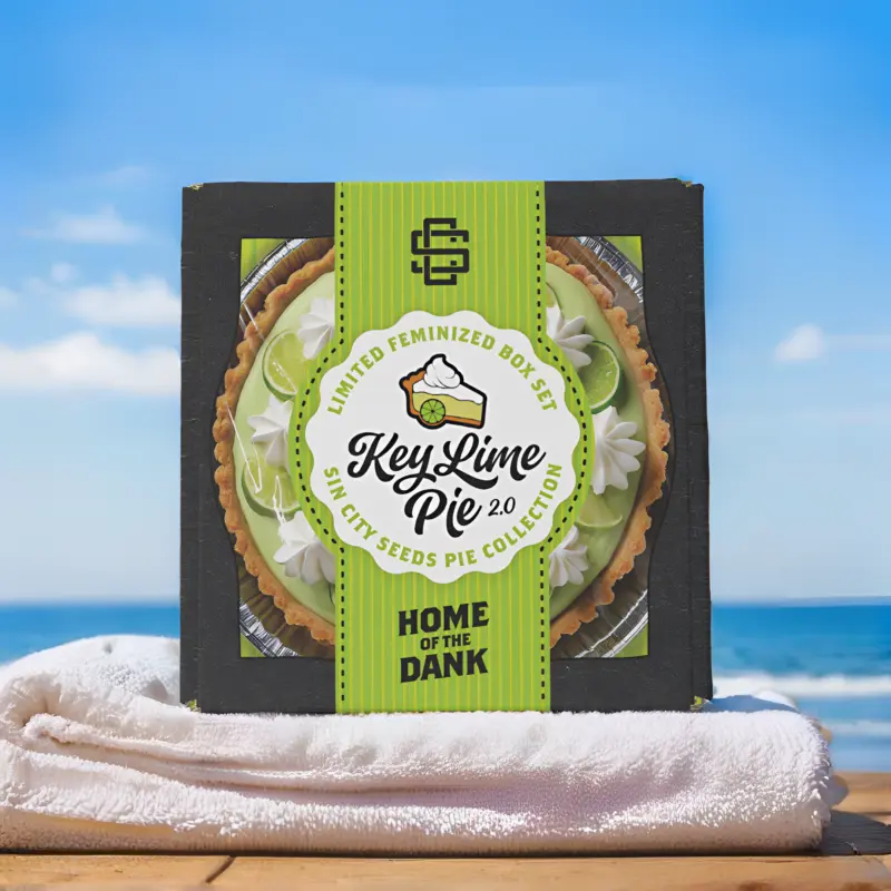 key lime pie 2 box set cannabis seeds by sin city seeds