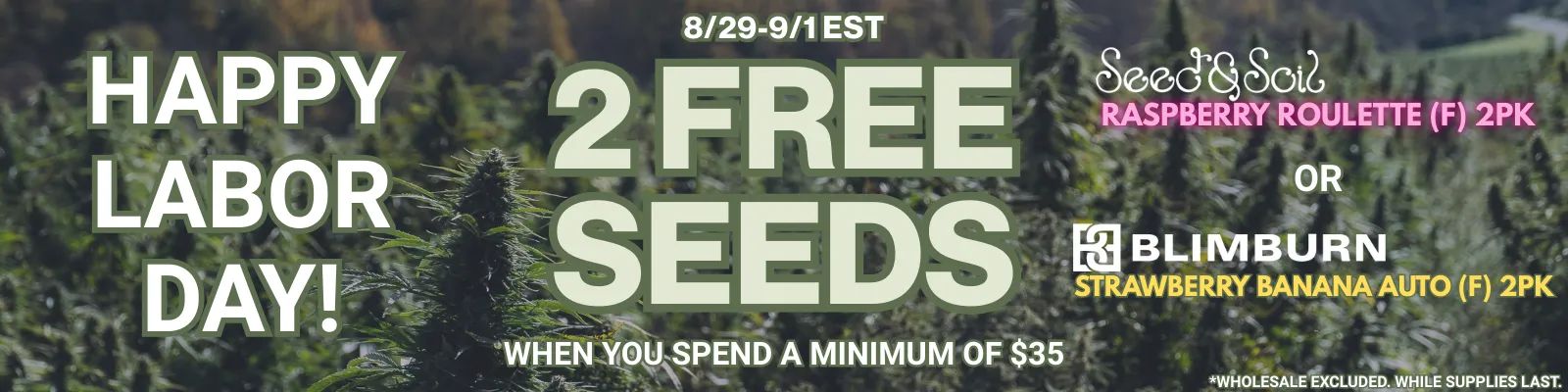Labor Day Promo Banner 2025