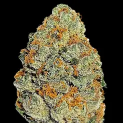 Lemon Mandarin Fem Cannabis Seeds by Fastbuds