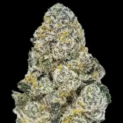 Lemonpapaya Cannabis Seeds by Fastbuds