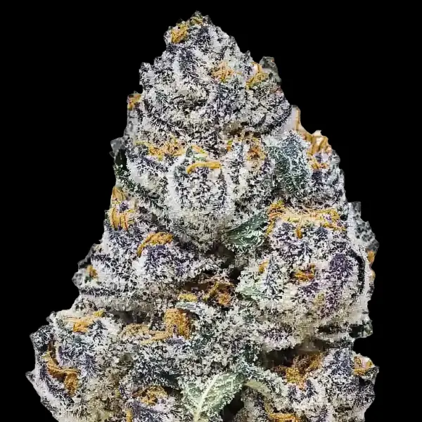 Rainbow Melon Fem Cannabis Seeds by Fastbuds