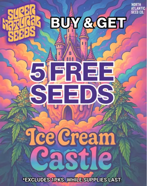 Super Natural Seeds's promotional image