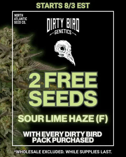 Dirty Bird Genetics's logo or representative image