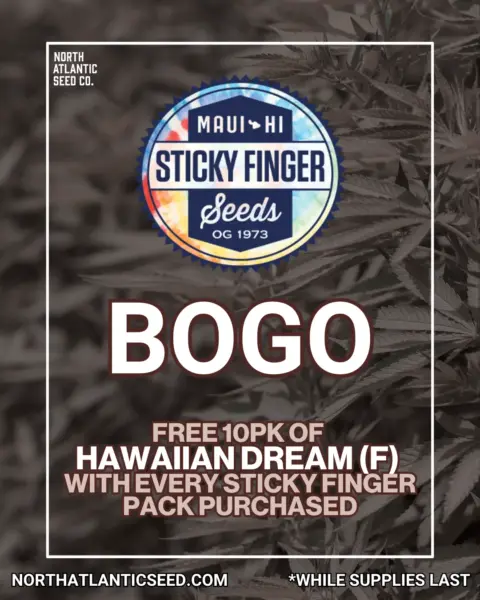 Sticky Finger Seeds's promotional image