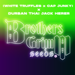 (white truffles x cap junky) x durban thai jack herer