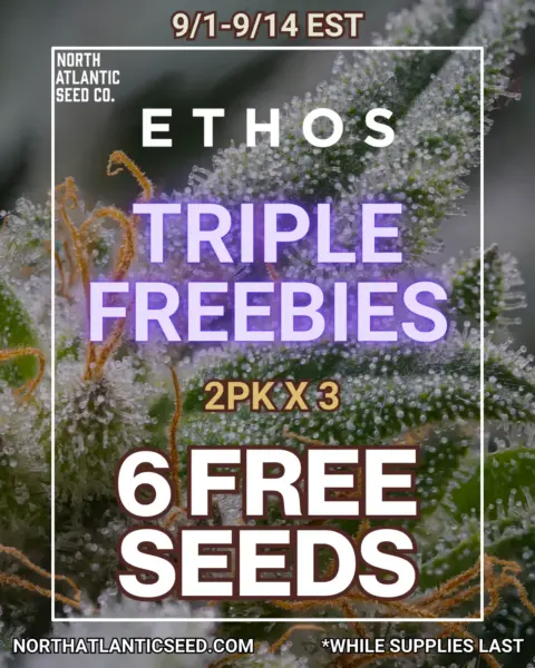 Ethos Genetics's logo or representative image
