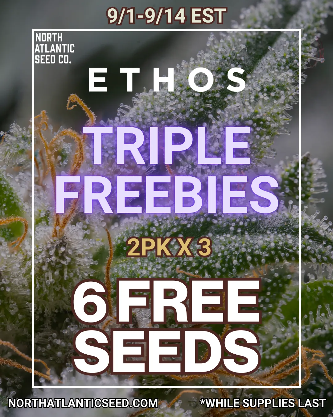 Ethos Genetics Image