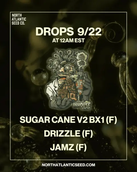 In House Genetics Birthday Drop's promotional image