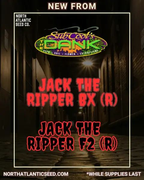 Subcool Seeds - Jack the Ripper Drop's promotional image