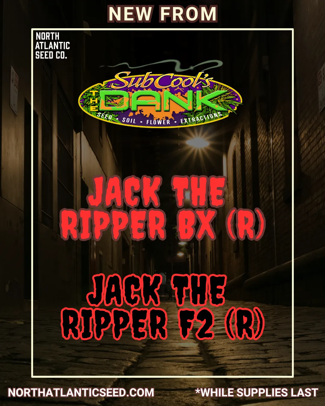 Subcool Seeds - Jack the Ripper Drop cannabis seeds