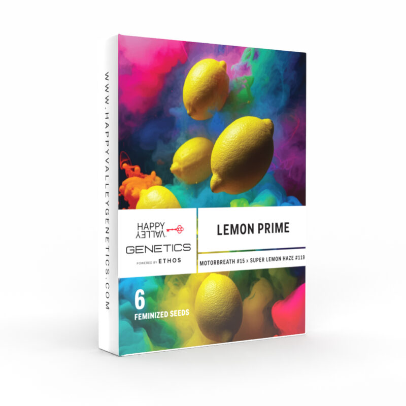 lemon prime cannabis seeds by happy valley genetics