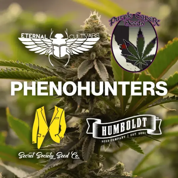 Phenohunters's promotional image