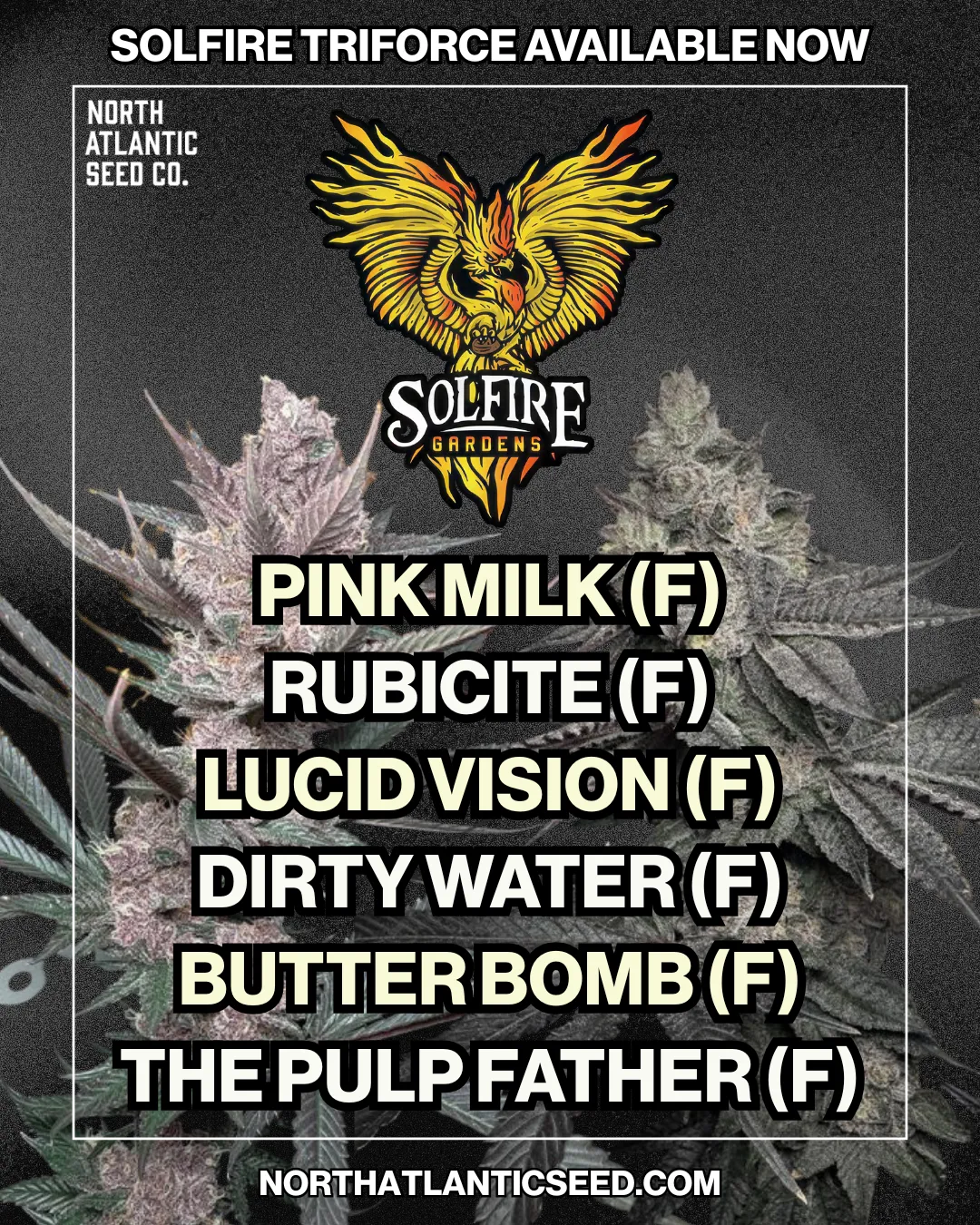 TriForce Drop cannabis seeds