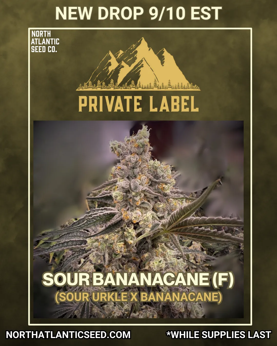 Private Label cannabis seeds
