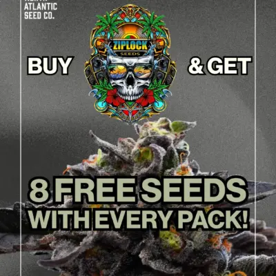 Ziplock Seeds
