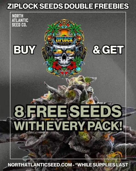 Ziplock Seeds's promotional image