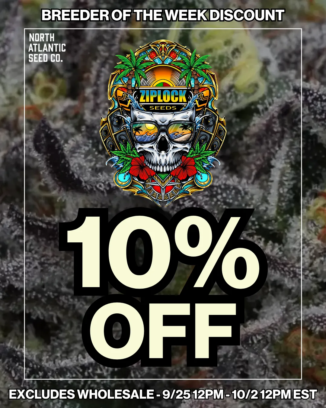 Ziplock Seeds cannabis seeds