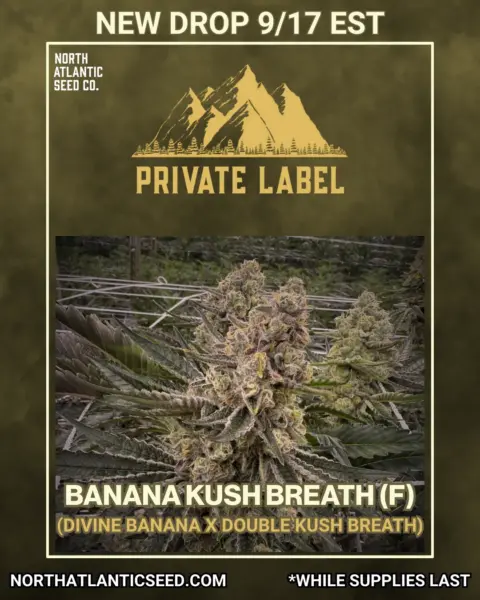 Private Label's logo or representative image