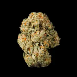 bucket list cannabis seeds by lit farms