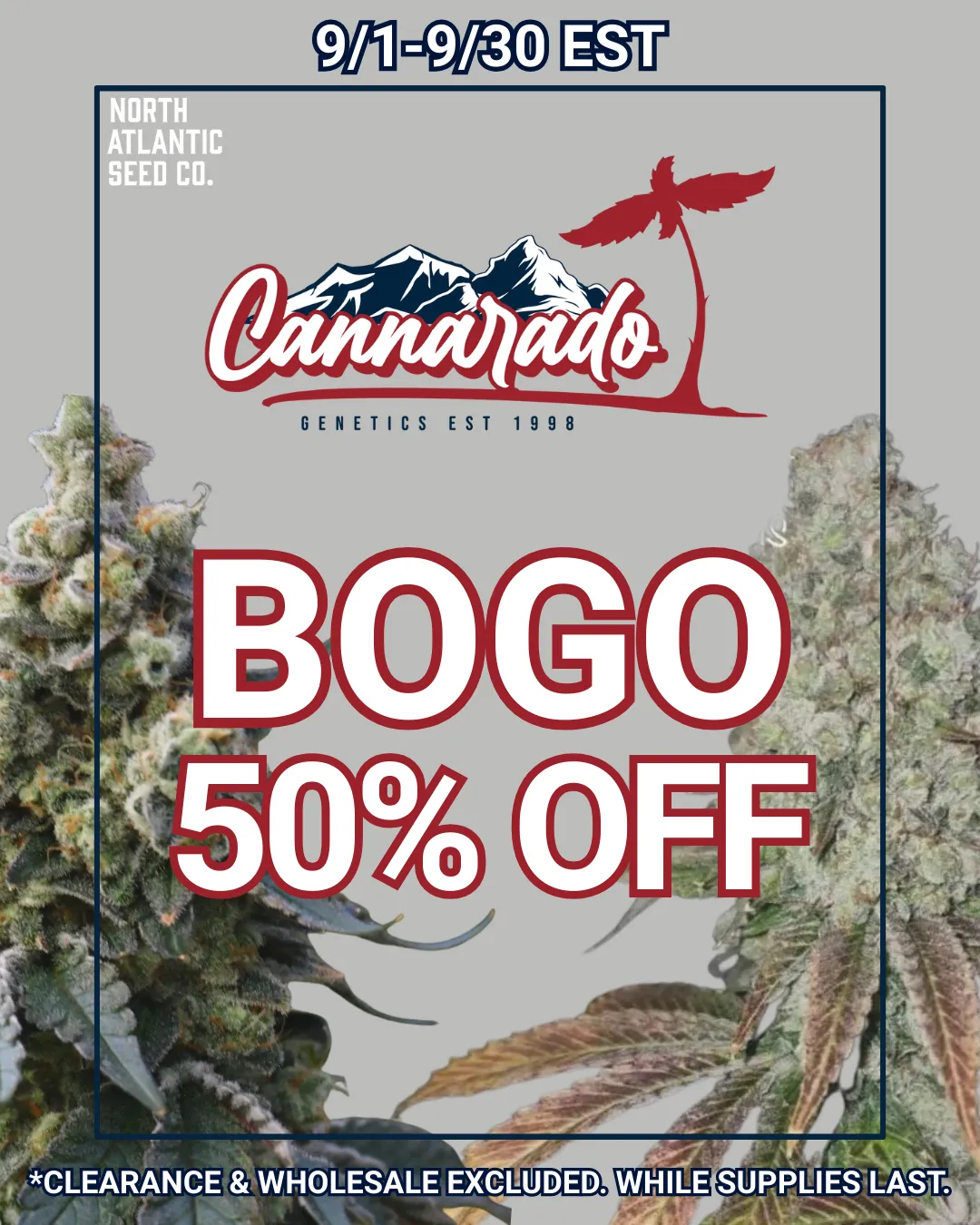 Cannarado Genetics cannabis seeds