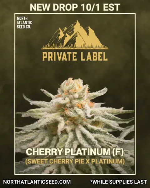 Private Label's promotional image