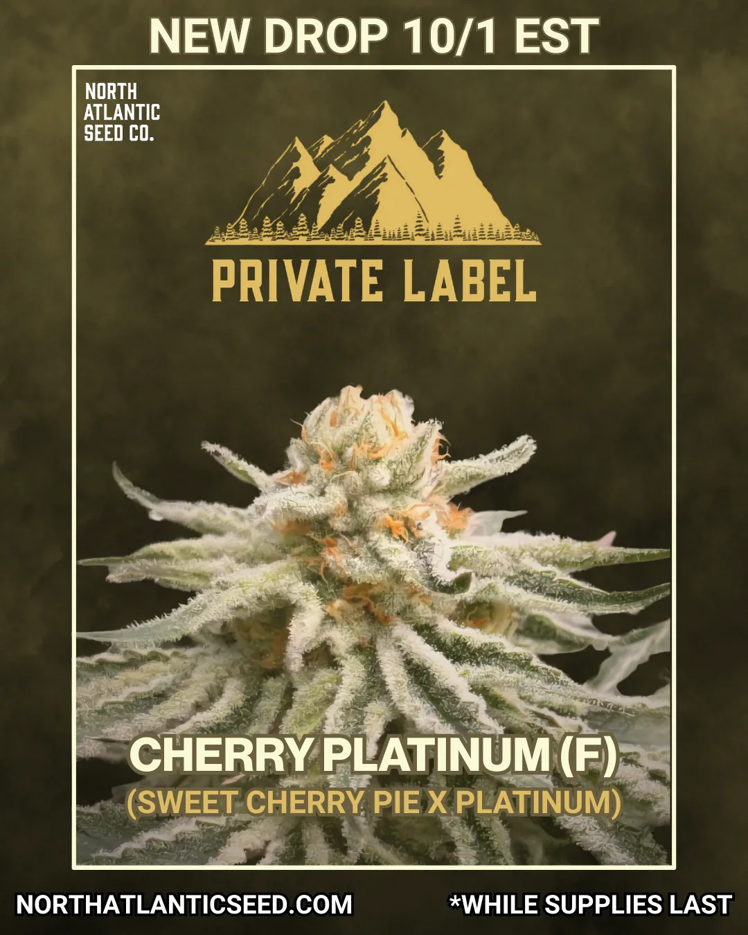 Private Label cannabis seeds