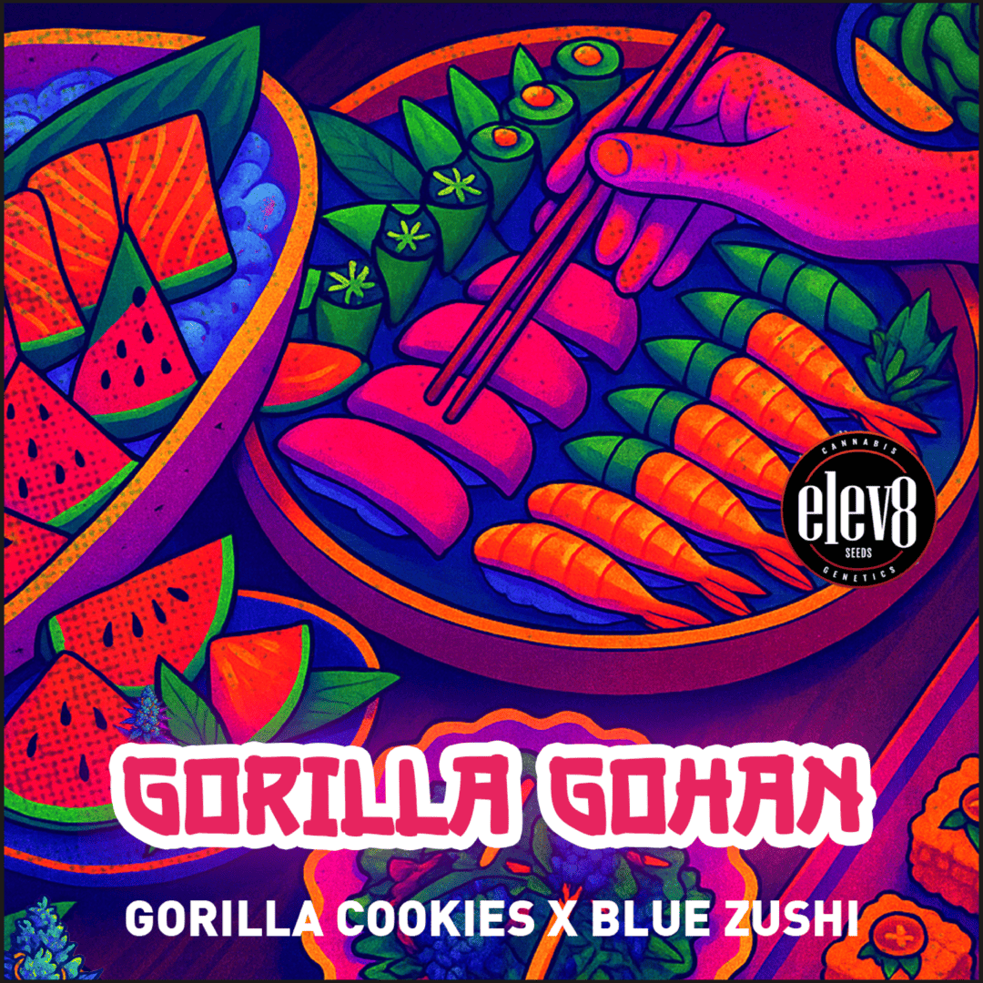 Gorilla Gohan (F)