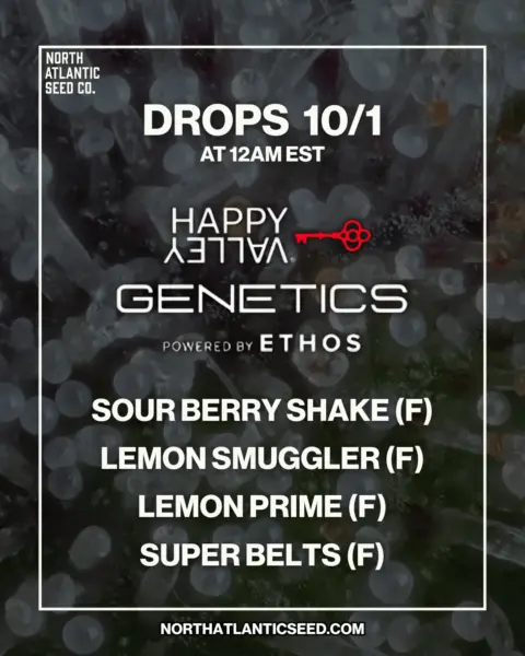 Happy Valley Genetics 2025 Drop's promotional image