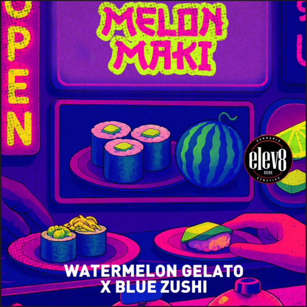 melon maki cannabis seeds by elev8 seeds