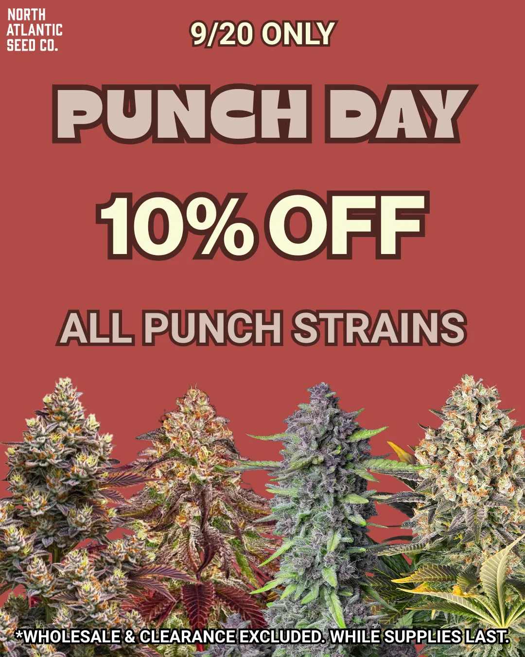 Punch Collection cannabis seeds