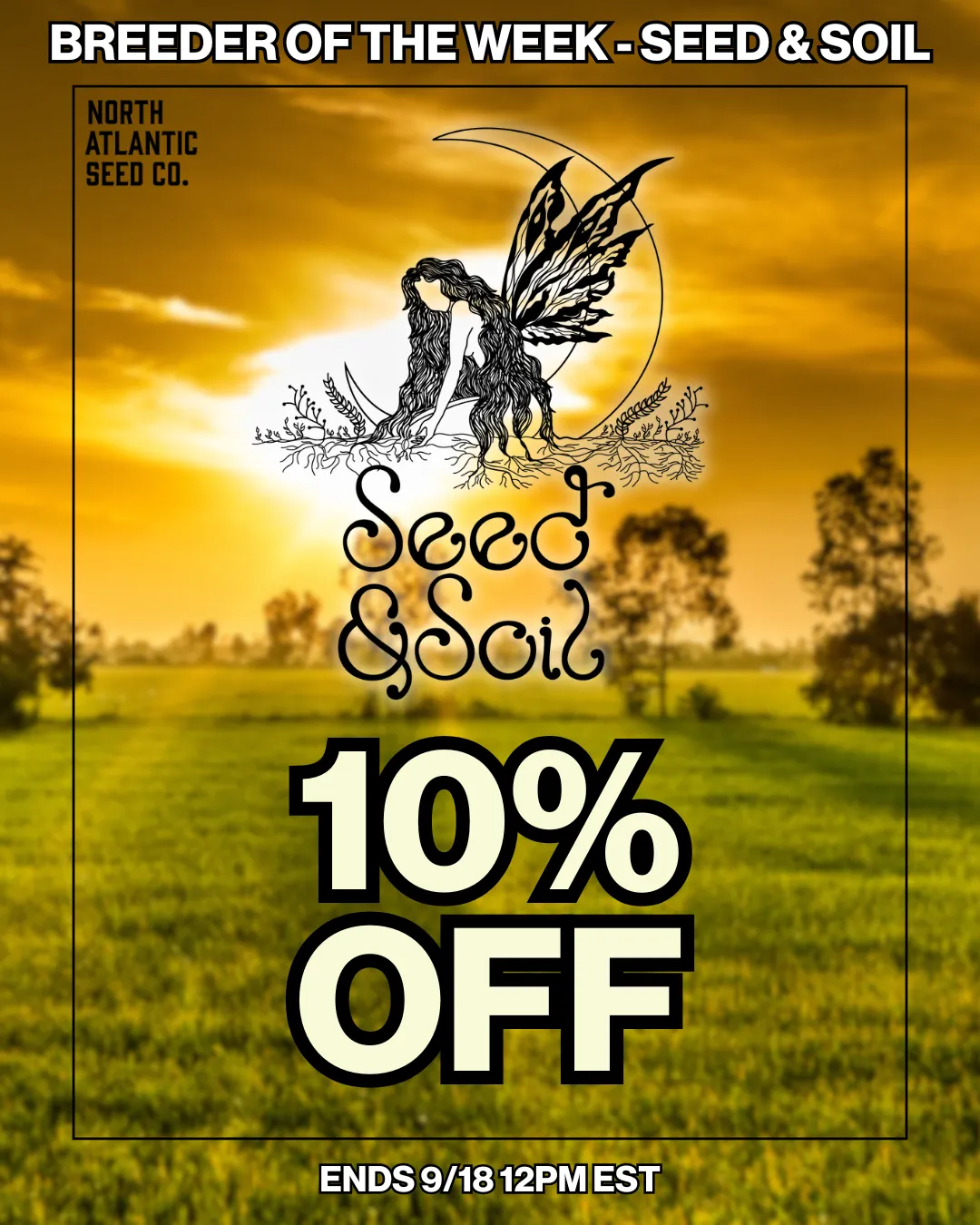 Seed and Soil cannabis seeds