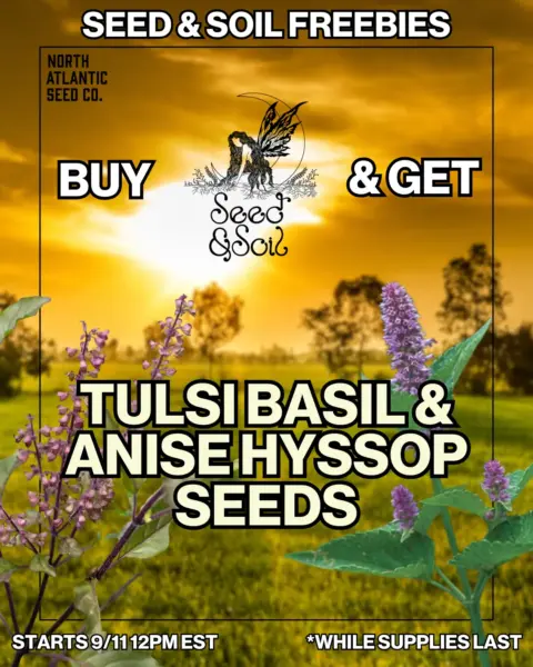 Seed and Soil's promotional image
