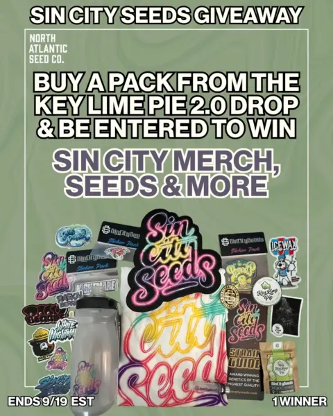 Sin City Seeds's logo or representative image