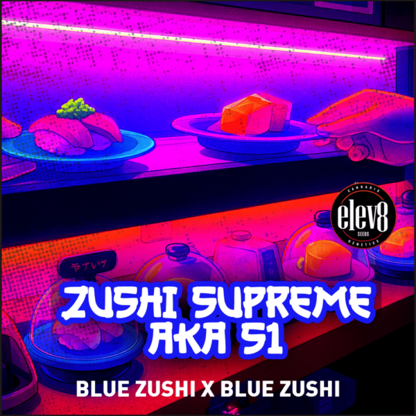 zushi supreme cannabis seed by elev8 seeds
