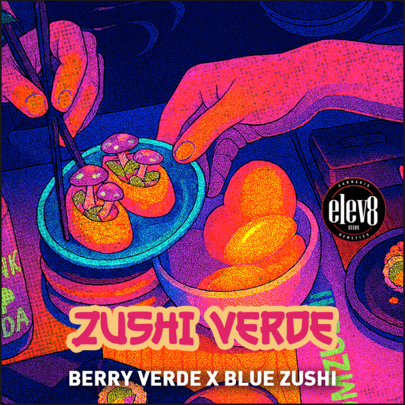 zushi verde cannabis seeds by elev8 seeds