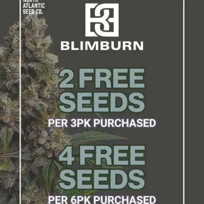 Blimburn Seeds