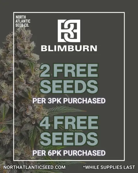 Blimburn Seeds's promotional image