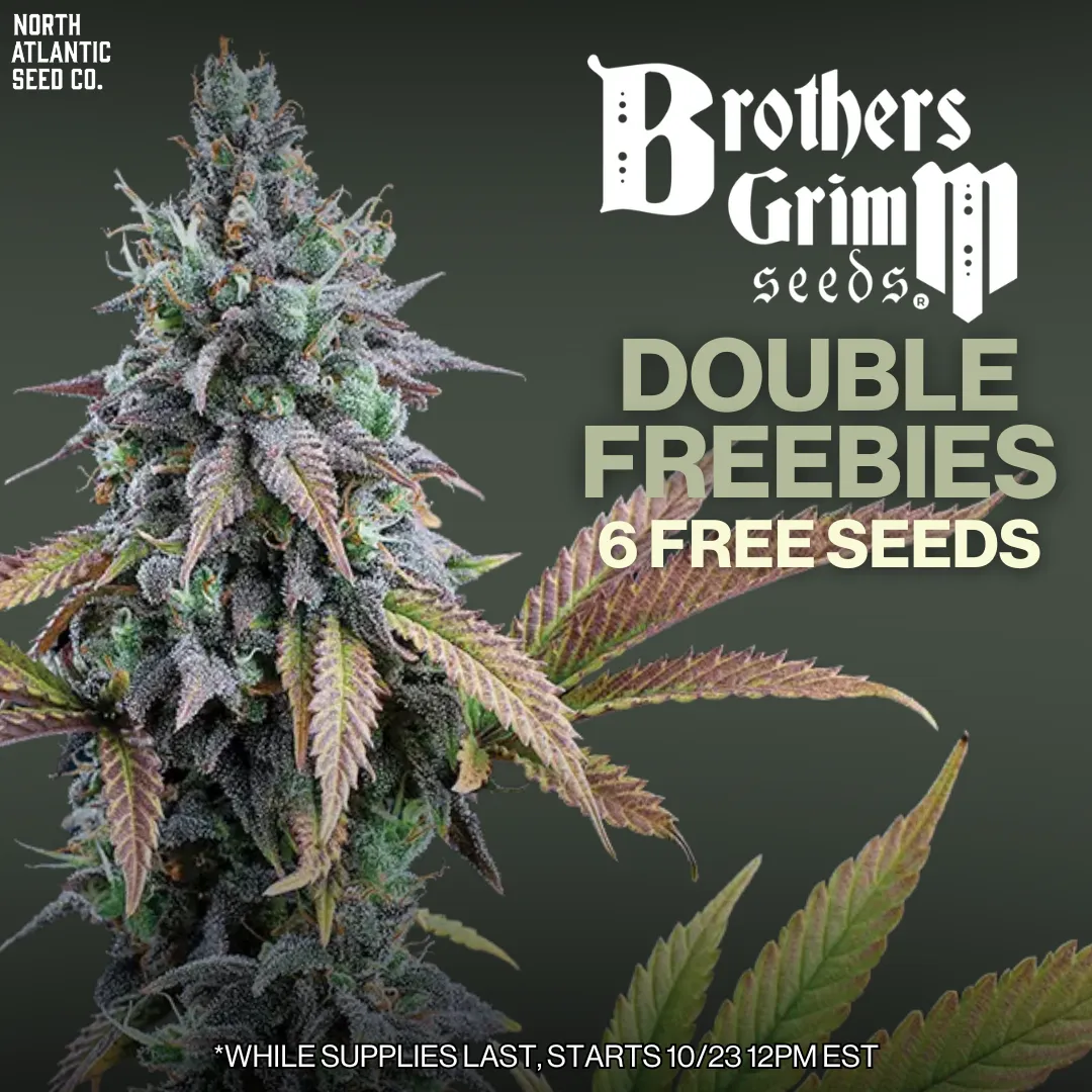 Brothers Grimm Seeds Image
