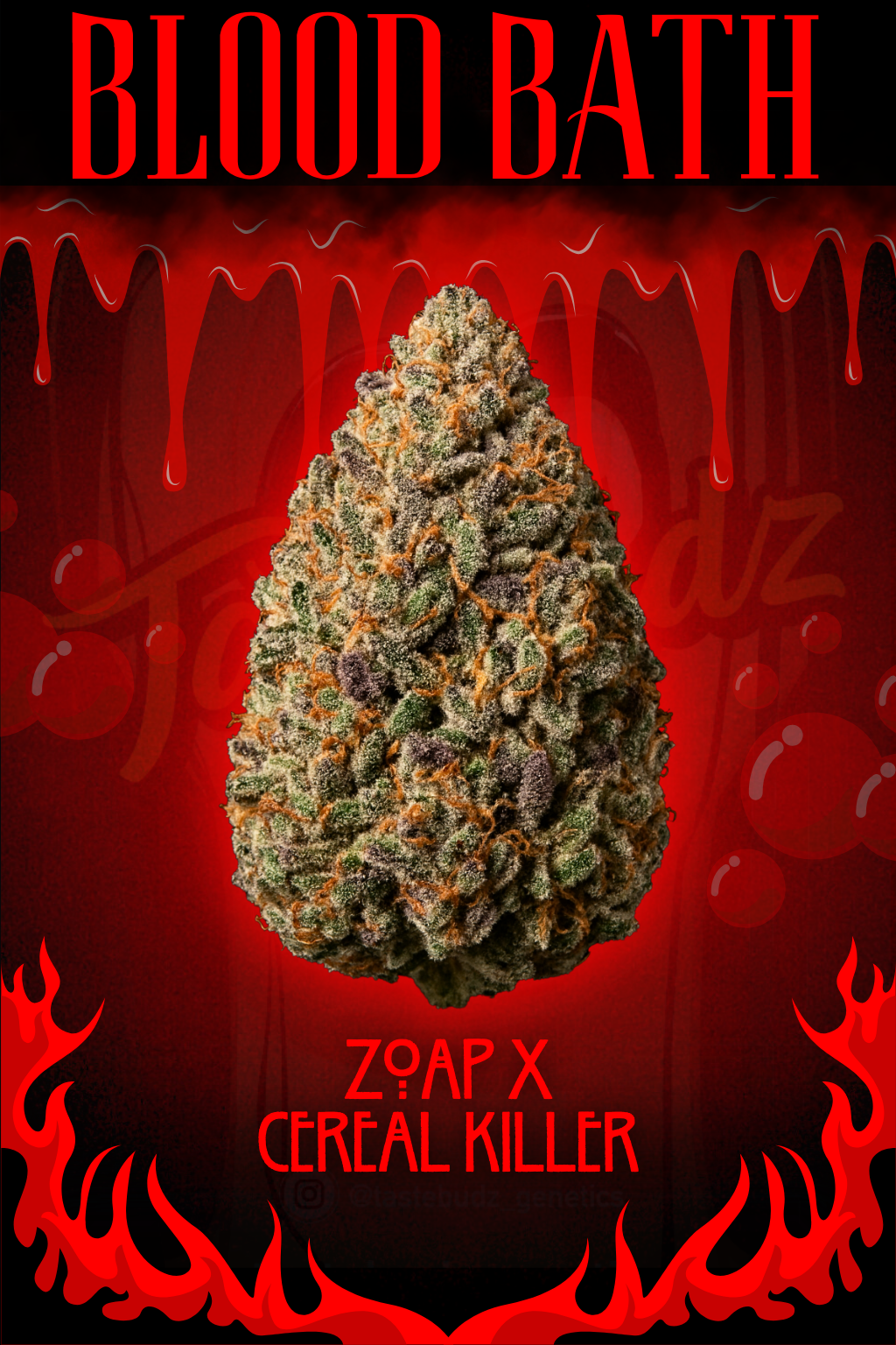 blood bath cannabis seeds by tastebudz genetics blood bath cannabis seeds by tastebudz genetics