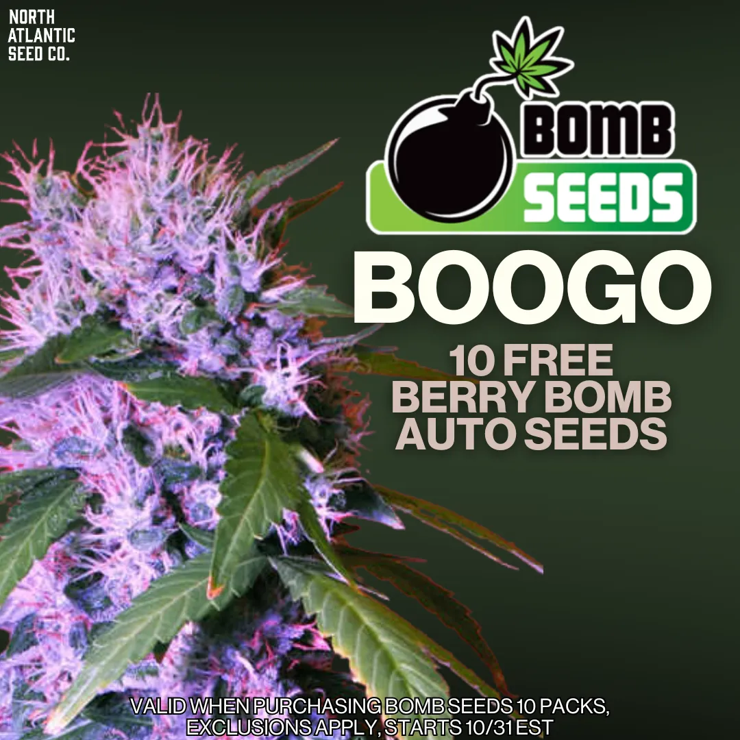 Bomb Seeds Image