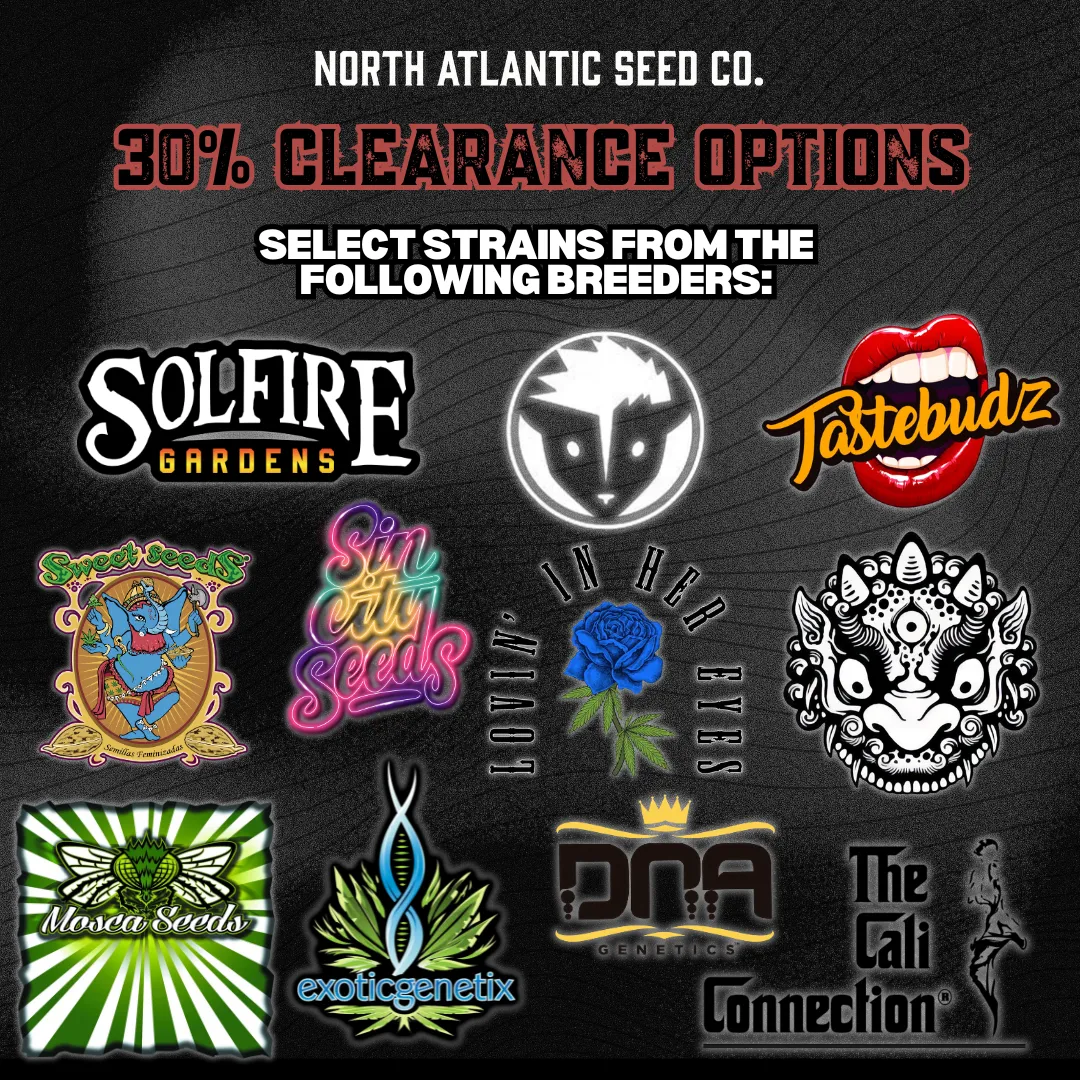 Clearance 30% Off cannabis seeds
