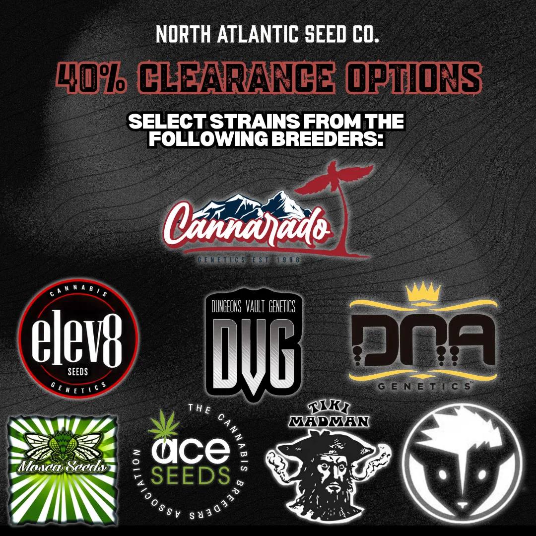 Clearance 40% Off cannabis seeds